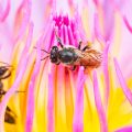 Essential Equipment and Setup Tips for Tarantula and Insect Enclosures in the UK