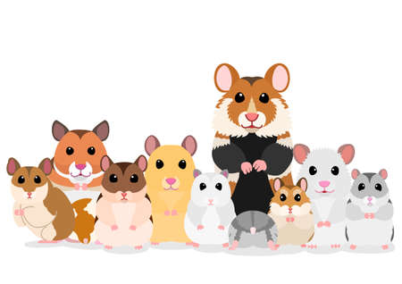 Exploring British Heritage Sites with Pets: Castles, Gardens, and Museums That Allow Animals