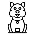 Essential Cat Grooming Routines Every British Pet Owner Should Know