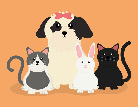 Step-by-Step DIY Cat Grooming Routine