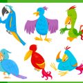Essential Bird Cage Accessories Every UK Bird Owner Needs for a Happy Feathered Friend