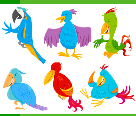 Essential Bird Cage Accessories Every UK Bird Owner Needs for a Happy Feathered Friend