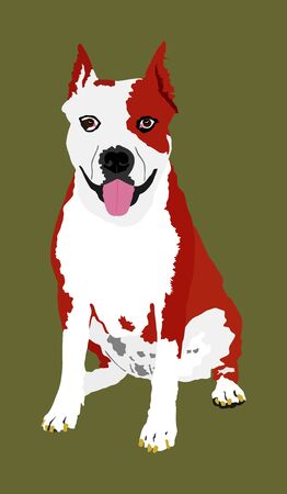 Building Trust: Gentle Training Methods