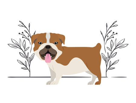 Foundational Training: Housebreaking and Basic Obedience