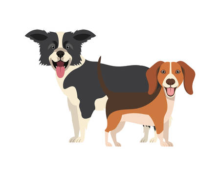 How Microchipping Works