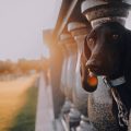 Understanding the Laws and Social Attitudes Towards Outdoor Cats in the UK
