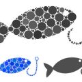 Understanding White Spot Disease: Symptoms, Treatment, and Prevention for UK Fishkeepers