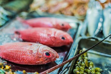 Top 10 Fish Foods for Healthy Aquariums: UK Brands and Recommendations