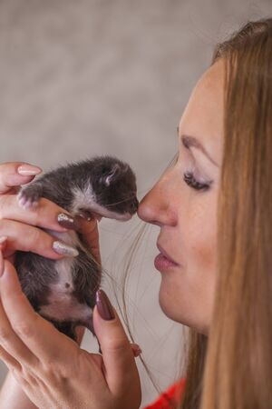 A Comprehensive Guide to Keeping Exotic Mammals: Hedgehogs and Sugar Gliders in the UK