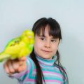 British Budgies: The All-Time Favourite Pet Bird in the UK