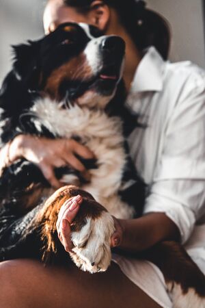 Understanding the Dangerous Wild Animals Act: Rules for Exotic Pet Owners