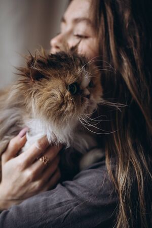 How Popular Cat Breeds in the UK Adapt to the British Climate and Living Spaces