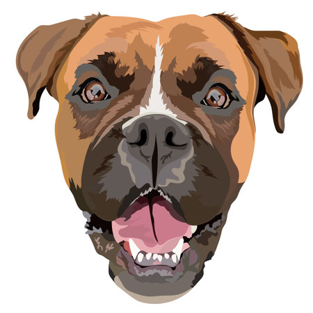 Training Techniques: Positive Reinforcement and Socialisation