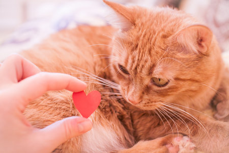 21 Thoughtful Pet Memorial Ideas to Honour Your Beloved Companion in the UK