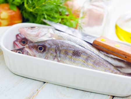 The Ultimate Guide to Fish Nutrition: Best Practices for UK Aquatic Enthusiasts
