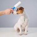 NHS vs Private Vet Practices in the UK: What’s Best for Your Pet?