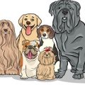 How to Trim Your Dog’s Nails Safely: British Groomer Tips