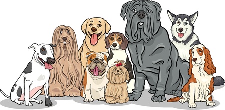 How to Trim Your Dog’s Nails Safely: British Groomer Tips