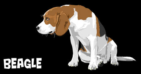 Comprehensive Guide to Managing Common Dog Behavioural Issues in the UK