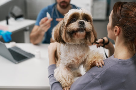 Microchipping Laws for Pets in the UK: Complete Guide to Compliance and Best Practices