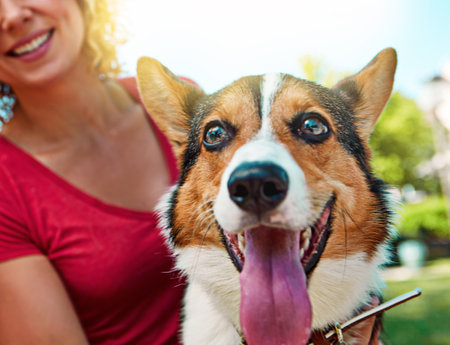 How to Talk to Children About Pet Loss: A Comprehensive Guide for UK Parents