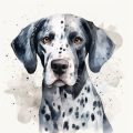 Pet Bereavement Support: Resources and Counselling across the UK