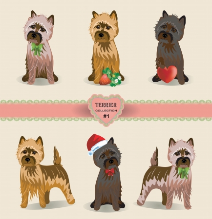 Responsibilities of Handlers and Owners