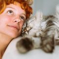 Navigating Pet Loss: British Cultural Attitudes and Support Resources