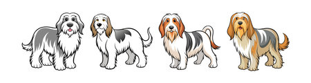 Animal Welfare Act and Duty of Care