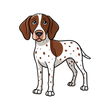 Navigating Pet Grooming Services in the UK: What to Expect and How to Choose