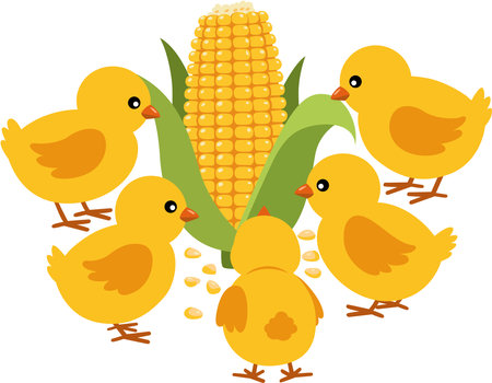 Foods to Avoid: Protecting Your Bird from Harm