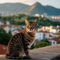 Travel and Relocation with Your Adopted Dog in the UK