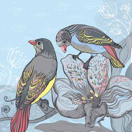 Social Interactions and Territorial Displays