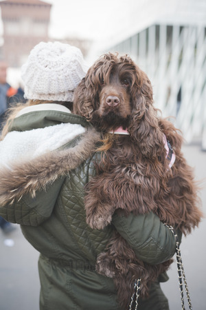 Recognising Signs of Grief in UK Children After the Loss of a Pet