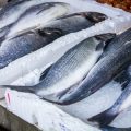 A British Guide to Preventing and Treating Common Fish Diseases