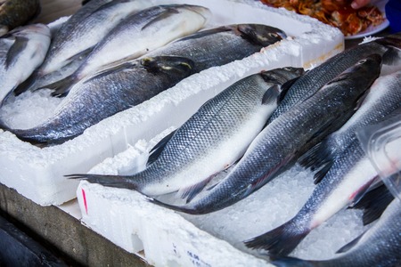 A British Guide to Preventing and Treating Common Fish Diseases