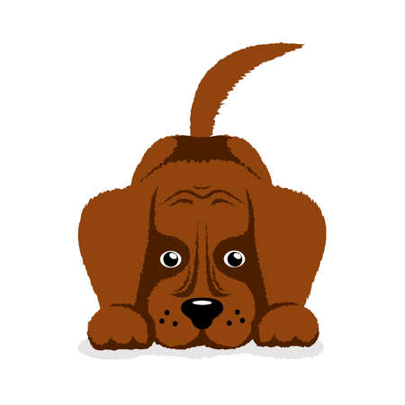 Understanding British Dog Training Methods: Modern Approaches and Traditional Values