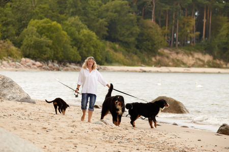 The Ultimate Guide to Travelling Across the UK with Your Pet: Tips, Destinations, and Legal Requirements