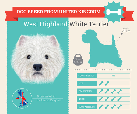 Best Walks and Trails: Exploring the Lake District with Your Canine Companion