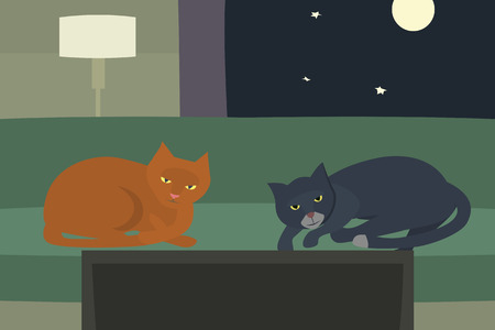 The UK Pet Insurance Market: What’s Available for Older Pets?