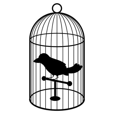 Choosing the Right Bird Cage: Size, Material, and UK Legal Requirements Explained