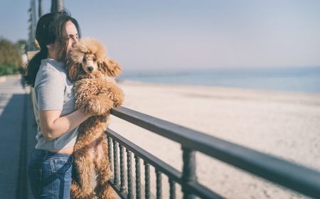 Using British Cultural References to Help Kids Understand the Loss of a Pet