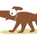 Feeding Working and Sporting Dogs in the UK: Nutrition for Performance and Energy