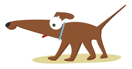 Feeding Working and Sporting Dogs in the UK: Nutrition for Performance and Energy