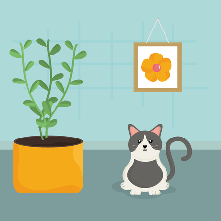 Myth: Only Long-Haired Cats Need Grooming