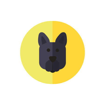 What Do UK Regulations Say About Pet Insurance?