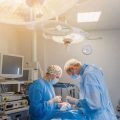 Common Surgical Procedures for Birds in the UK: When Is Surgery Necessary?