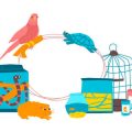 Amazon Parrots in Britain: The Ultimate Owner’s Guide
