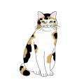 Combating Shedding and Hairballs: Solutions for British Cats and Dogs