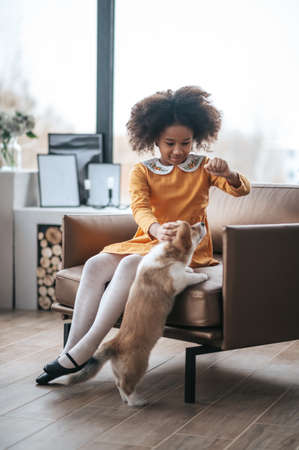 How to Rabbit-Proof Your Home: British Homes and Bunny Safety